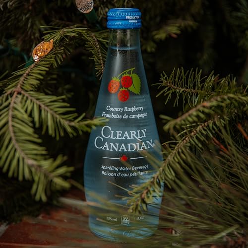 Clearly Canadian Mountain Blackberry Sparkling Water, 11 Fl Oz