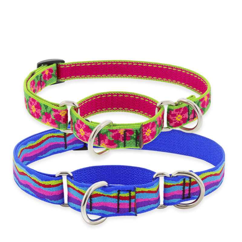 LupinePet Martingale Collar - Pet Supplies online store