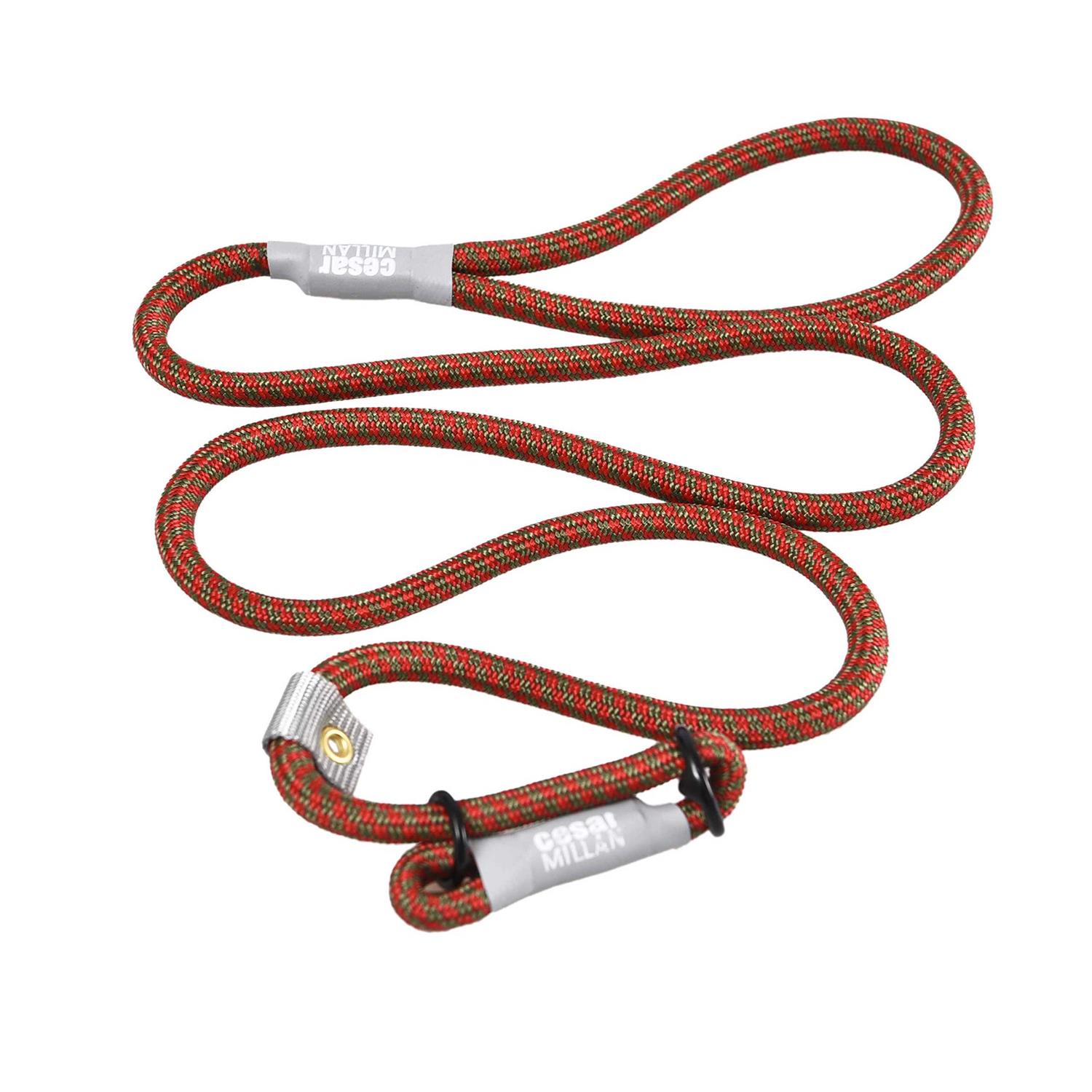 Cesar Millan Slip Lead Leash 2-in-1 Slip Collar Dog Training Lead & Collar - Pet Supplies online store