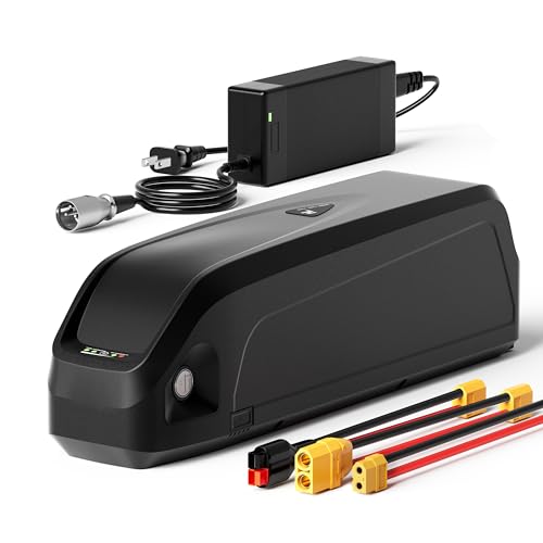 Ebike Battery 48V 20Ah for Electric Bike/Bicycle Power Supply Hailong Li-ion Battery Pack with Fix Plate, Safe Lock, 3A Charger, XT60 Connector and LED Indicator for 100-1200W Motor