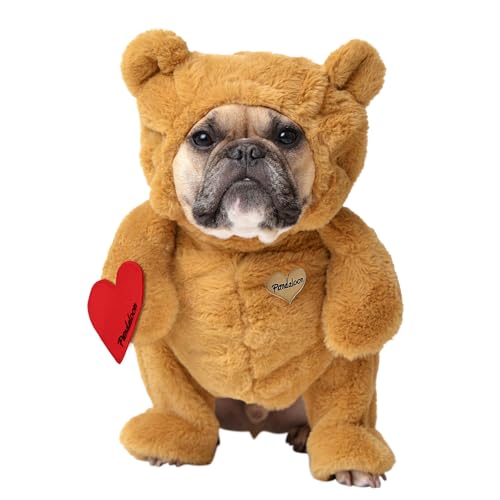 Pandaloon Dog Halloween Costume - As Seen on Shark Tank - Patented - Funny Costume with Arms for Small and Medium Dogs and Cats (Teddy Bear, Size 3(17-19 in Height at TOP of Head,Girth