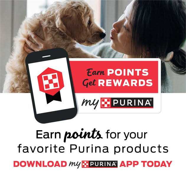 Purina Pro Plan Veterinary Diets OM Overweight Management Formula Canned Dog Food - Pet Supplies online store