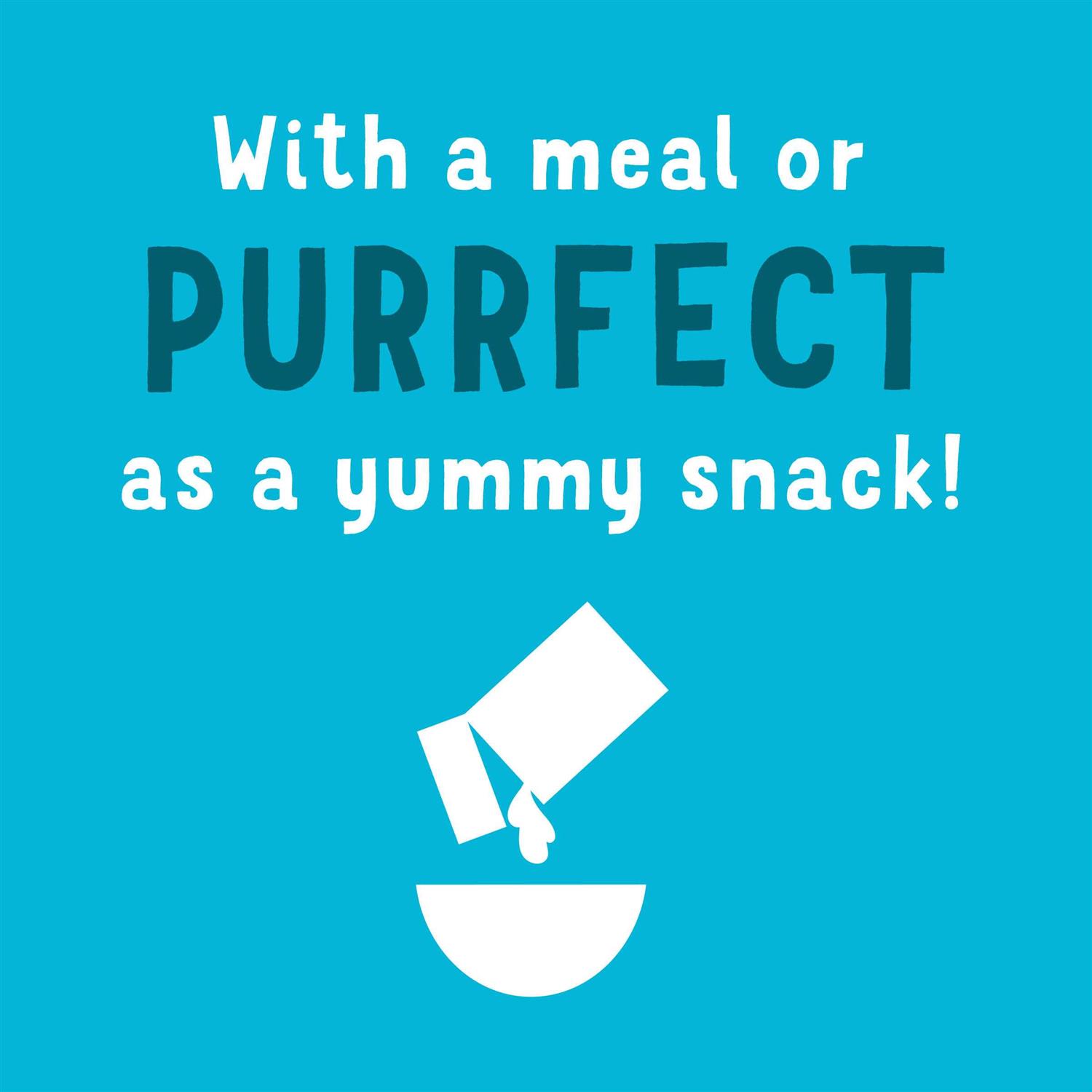 Purina Friskies Gravy Wet Cat Food Complement Variety Pack Lil Grillers Chicken - Pet Supplies online store