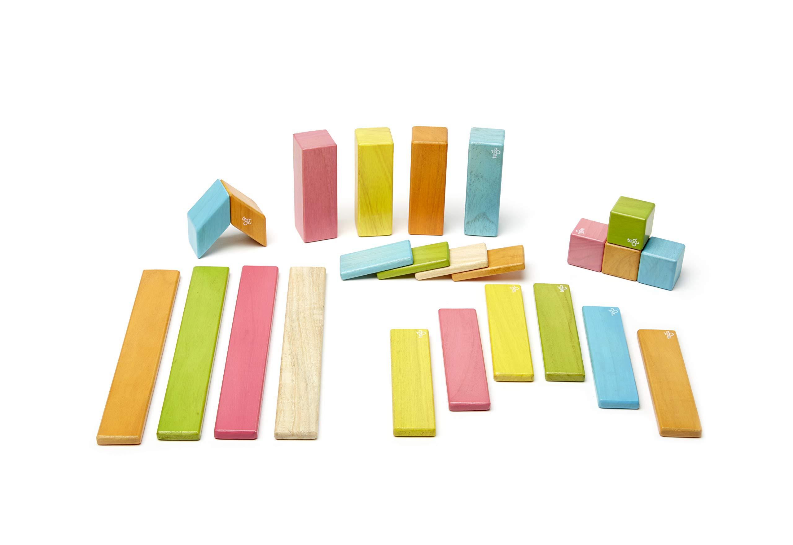 24 Piece Tegu Magnetic Wooden Block Set, Tints