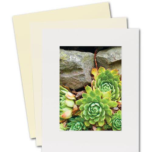 Lineco Cotton Rag Museum Mounting Boards, White