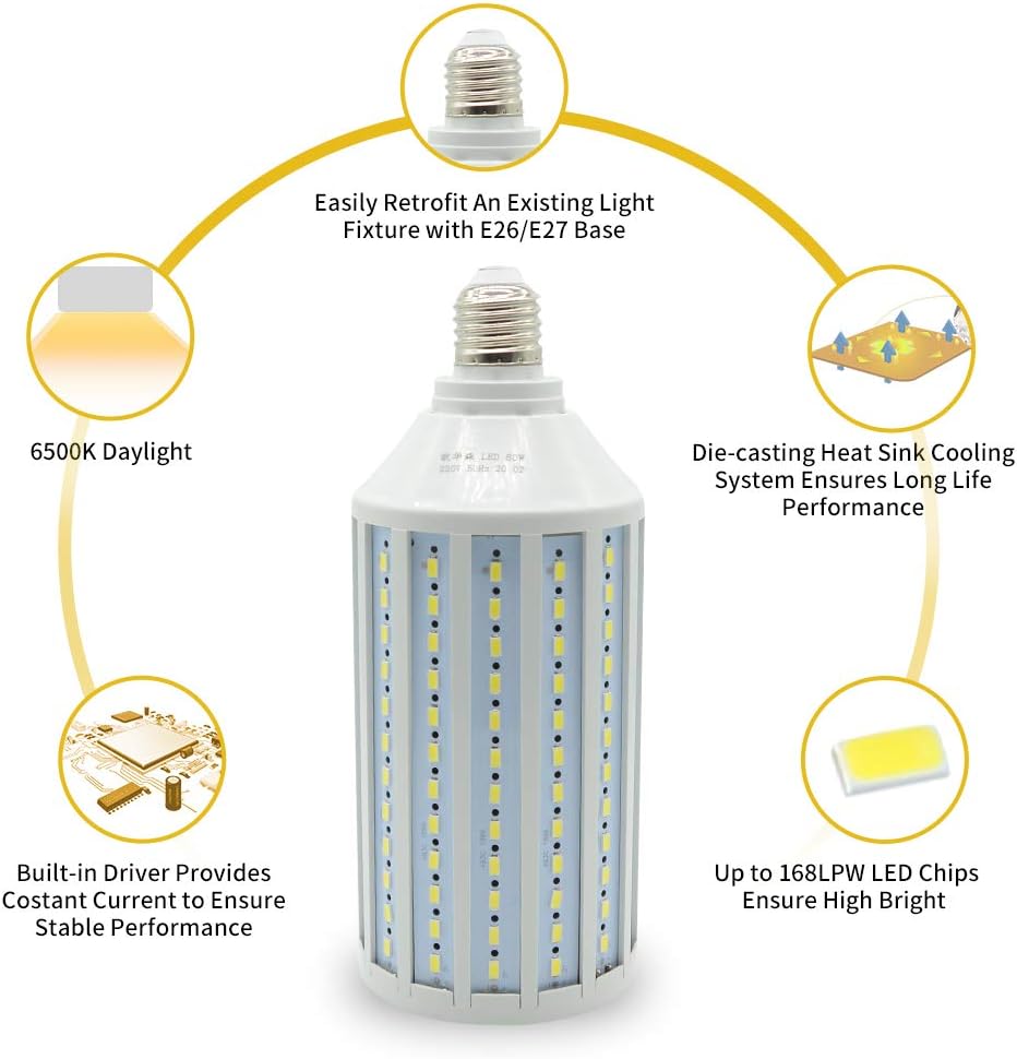MOUNTDOG LED Softbox Photography Lighting Kit with 20
