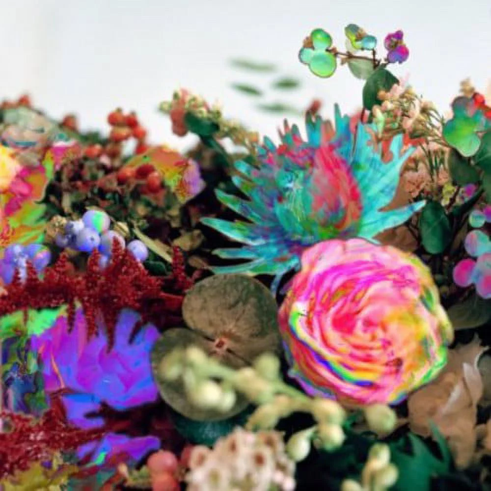 Darkstar - News from Nowhere - Rock - Vinyl