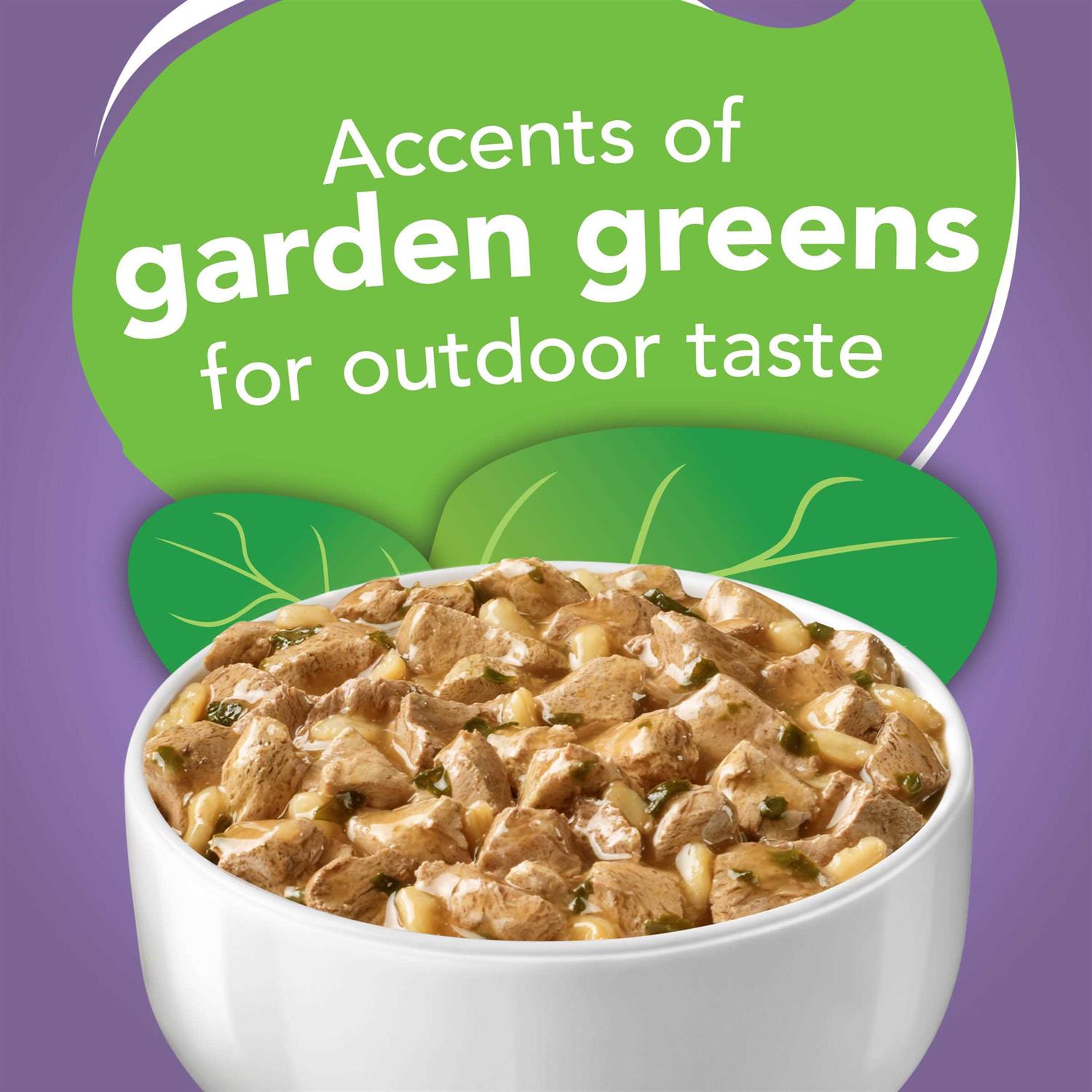 Friskies Homestyle Turkey Dinner Wet Indoor Cat Food - Pet Supplies online store