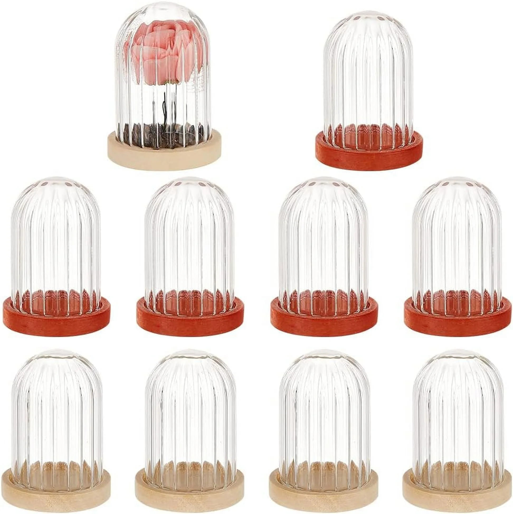 2 Sets Round Glass Display Dome Mini Glass Cloche Dome Clear Glass Display Dome Cover with Wood Base