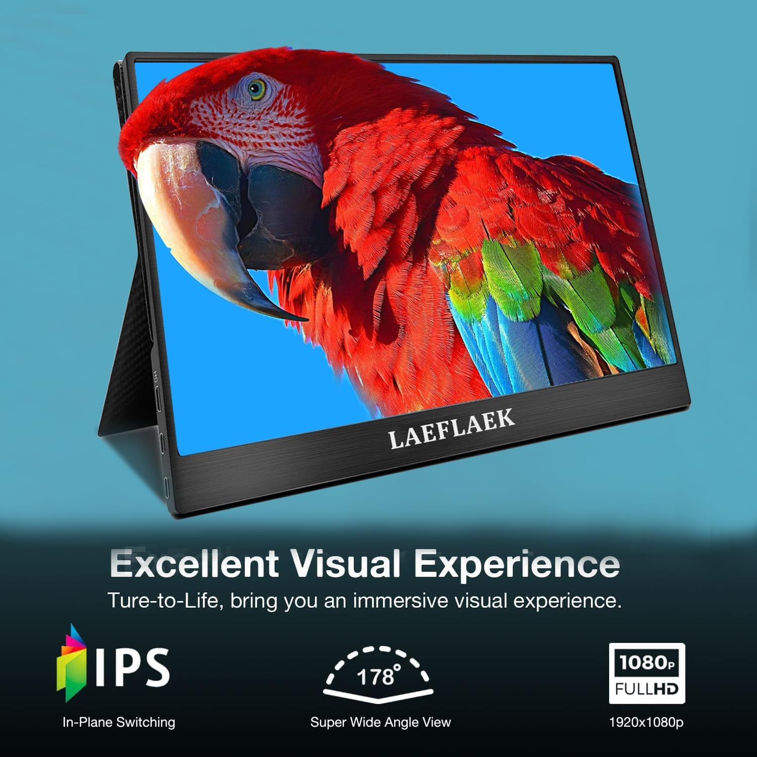 Portable Monitor, 15.6