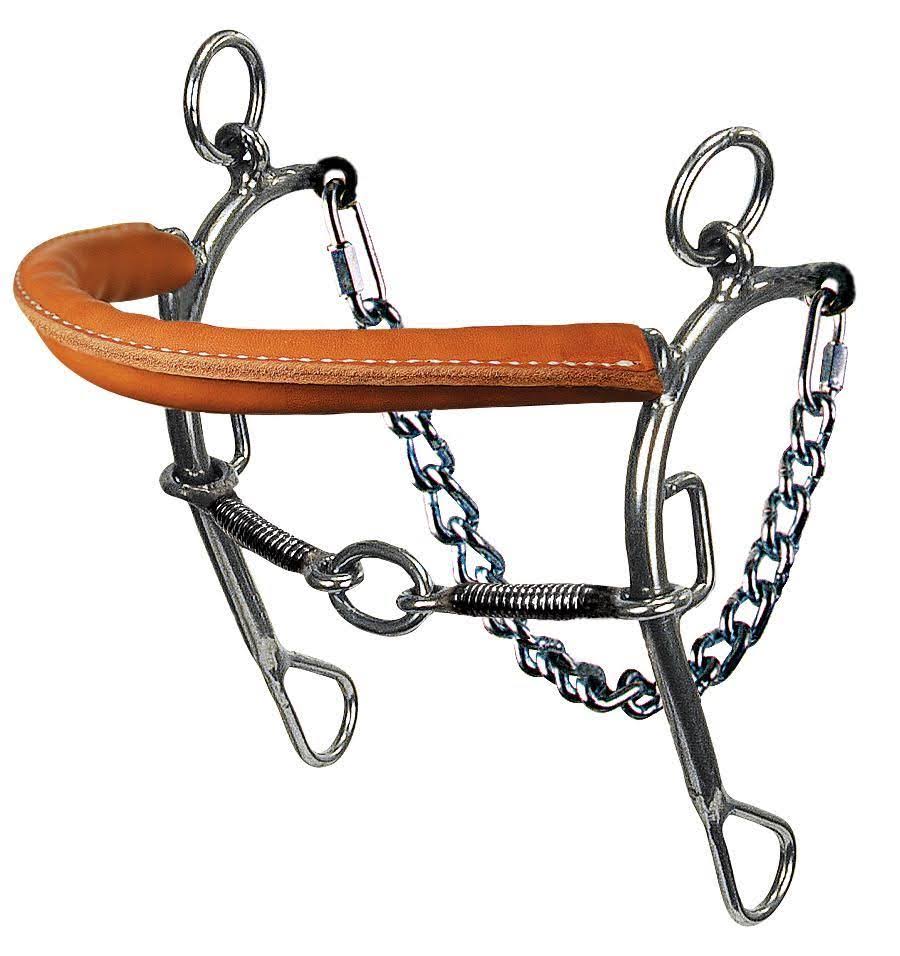 Reinsman Camarillo Lifesaver Long Shank Combo Bit