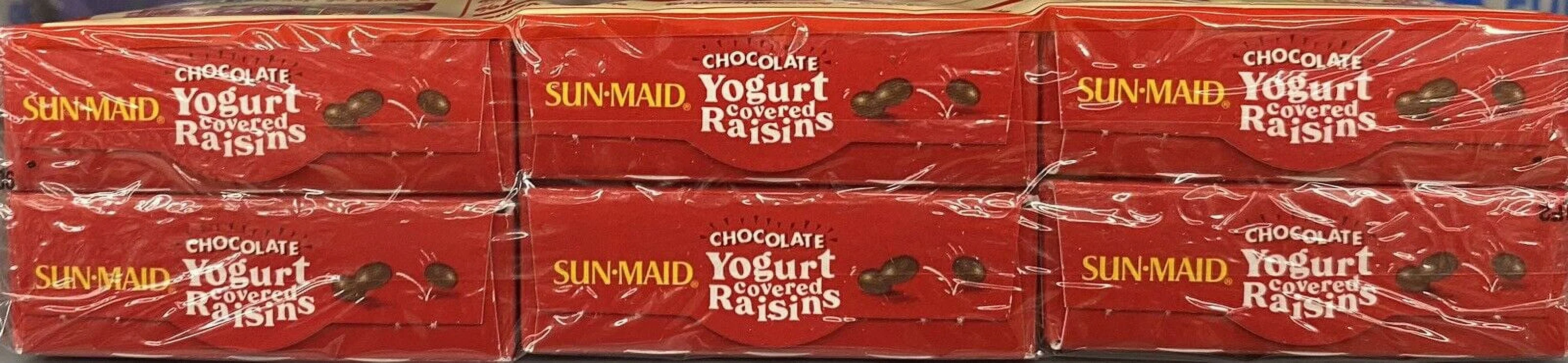 Sun-Maid CHOCOLATE YOGURT Covered California Raisins Sun Dried NON GMO 6 Pack