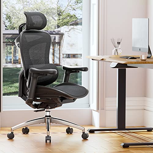 SIHOO Doro C300 Ergonomic Office Chair with Ultra Soft 3D Armrests, Dynamic Lumbar Support for Home Office Chair, Adjustable Backrest Desk Chair, Swivel Big and Tall Office Chair, Computer Chair Grey