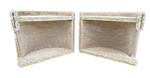 New Cat Condos 190121-Brown Cat Climbing Tree