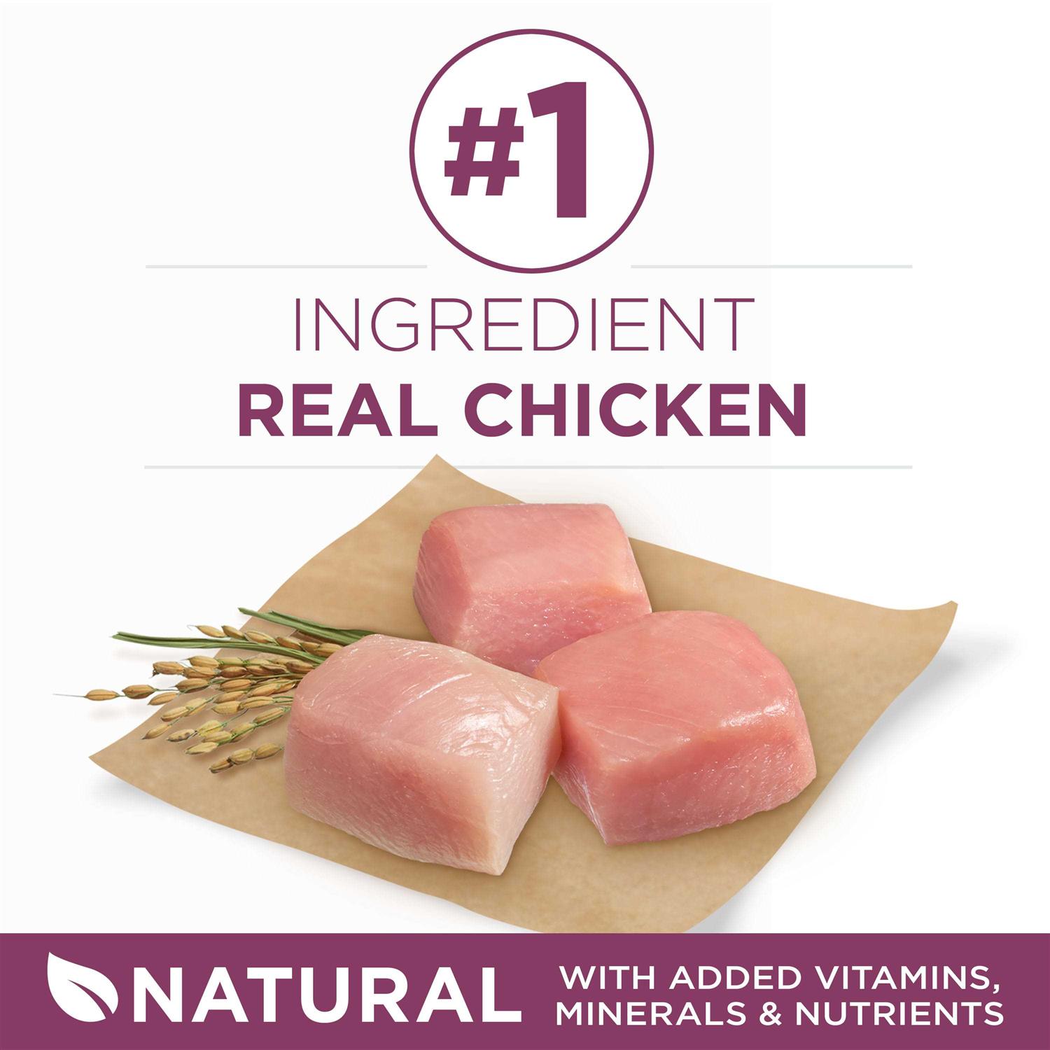 Purina ONE Healthy Puppy Formula Dry Food - Pet Supplies online store