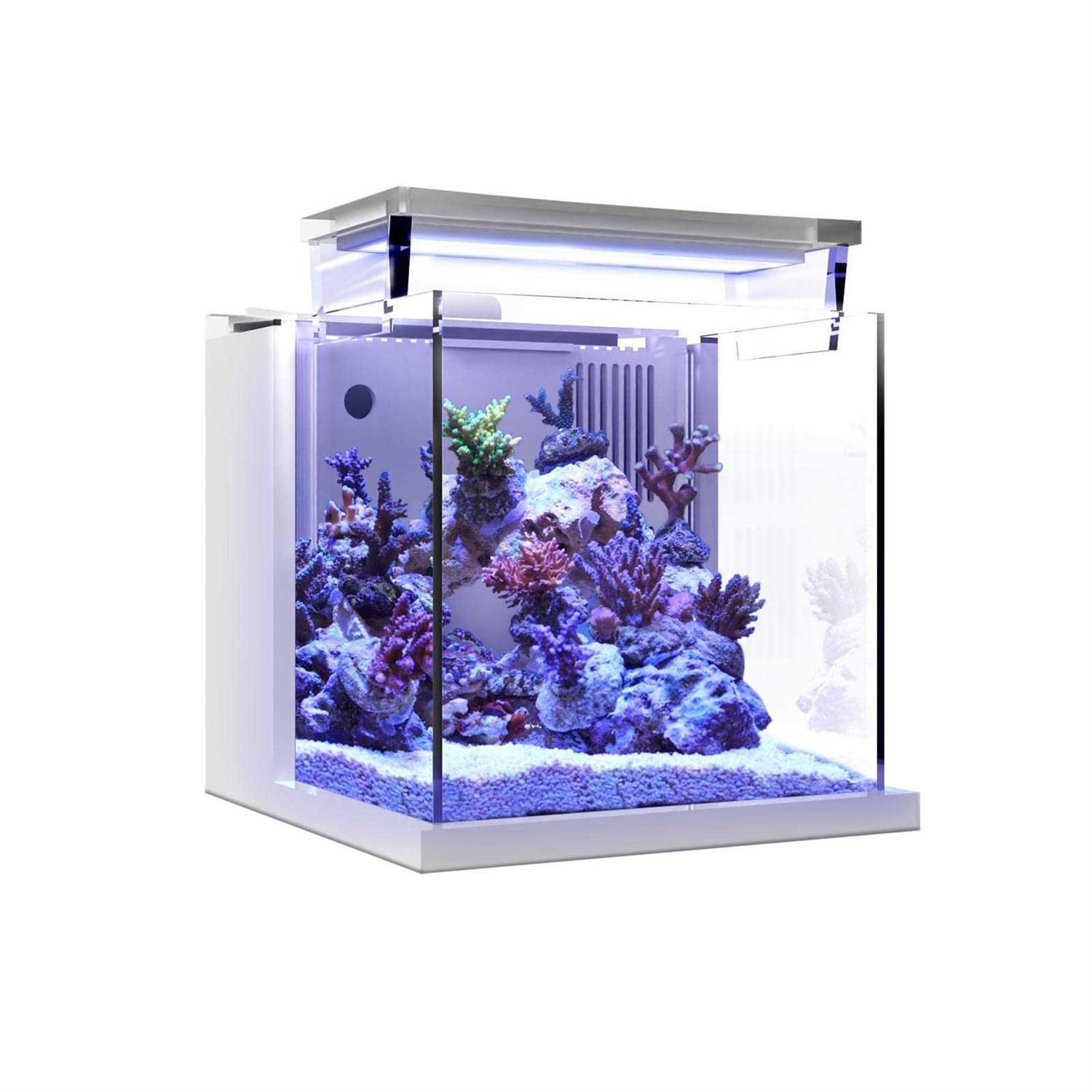 MagTool Premium All-in-One Desktop Mini Acrylic 0.95gal Reef Aquarium with Back Filter System and LED Light - Pet Supplies online store