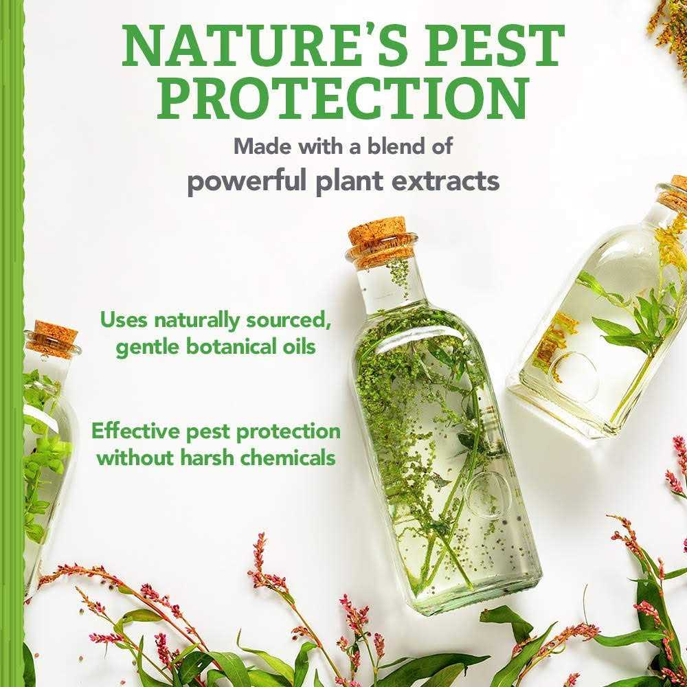 Natural Care Flea and Tick Carpet Powder Flea Treatment for Rugs, Carpet, or Pet Bedding - Pet Supplies online store