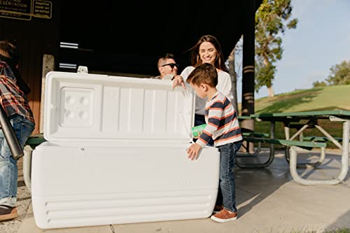 Igloo Quick and Cool Cooler (150-Quart, White)
