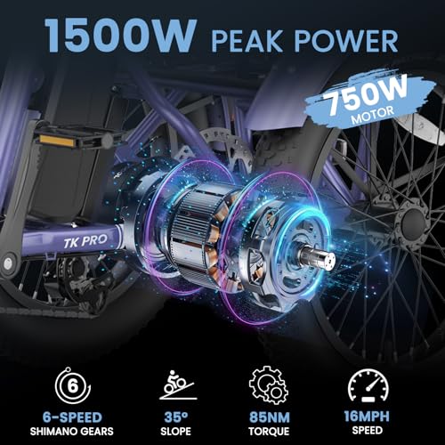 MOONCOOL Electric Tricycle for Adults, 500W/750W 48V 20