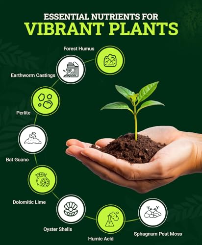 FoxFarm Happy Frog Potting Soil, 12qt – for Indoor/Outdoor Container Plants, Improves Root Efficiency, pH Adjusted for Optimal Nutrient Uptake – Contains Microbes and Humic Acids