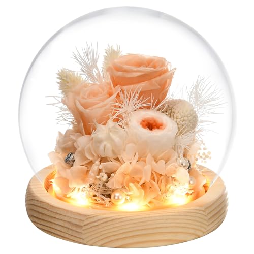 Gifts for Women, Flowers for Delivery Prime, Preserved Real Rose in Glass Dome with LED Light, Gifts Idea for Women Wife Mom Grandma on Anniversary Birthday Mothers Day
