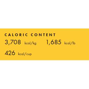 Fromm Four Star Hasen Duckenpfeffer Cat Food - Pet Supplies online store