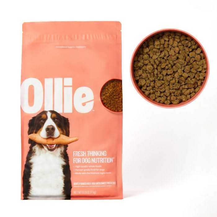 Ollie Baked Beef Dish with Sweet Potatoes Dry Dog Food - Pet Supplies online store