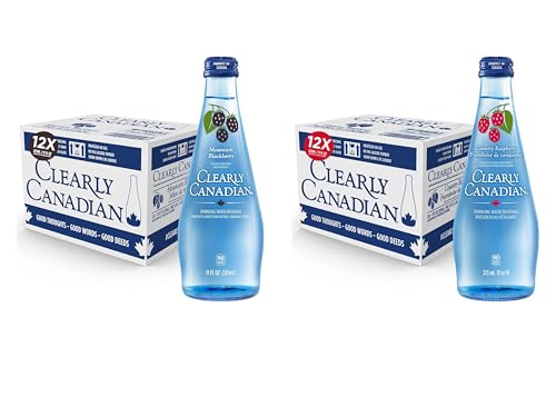Clearly Canadian Mountain Blackberry Sparkling Water, 11 Fl Oz