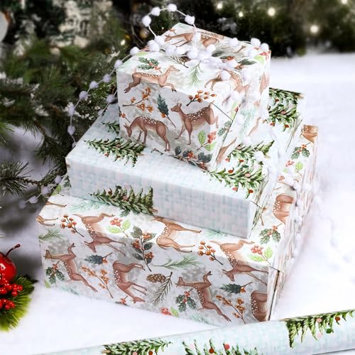 BIOBROWN Reversible Kraft Christmas Wrapping Paper - Jumbo Roll - 30 Inch X 33 Feet (82.5 sq. ft. ttl.) - Vintage Trucks Design Perfect for Xmas, Party, Holiday Gift Wrap