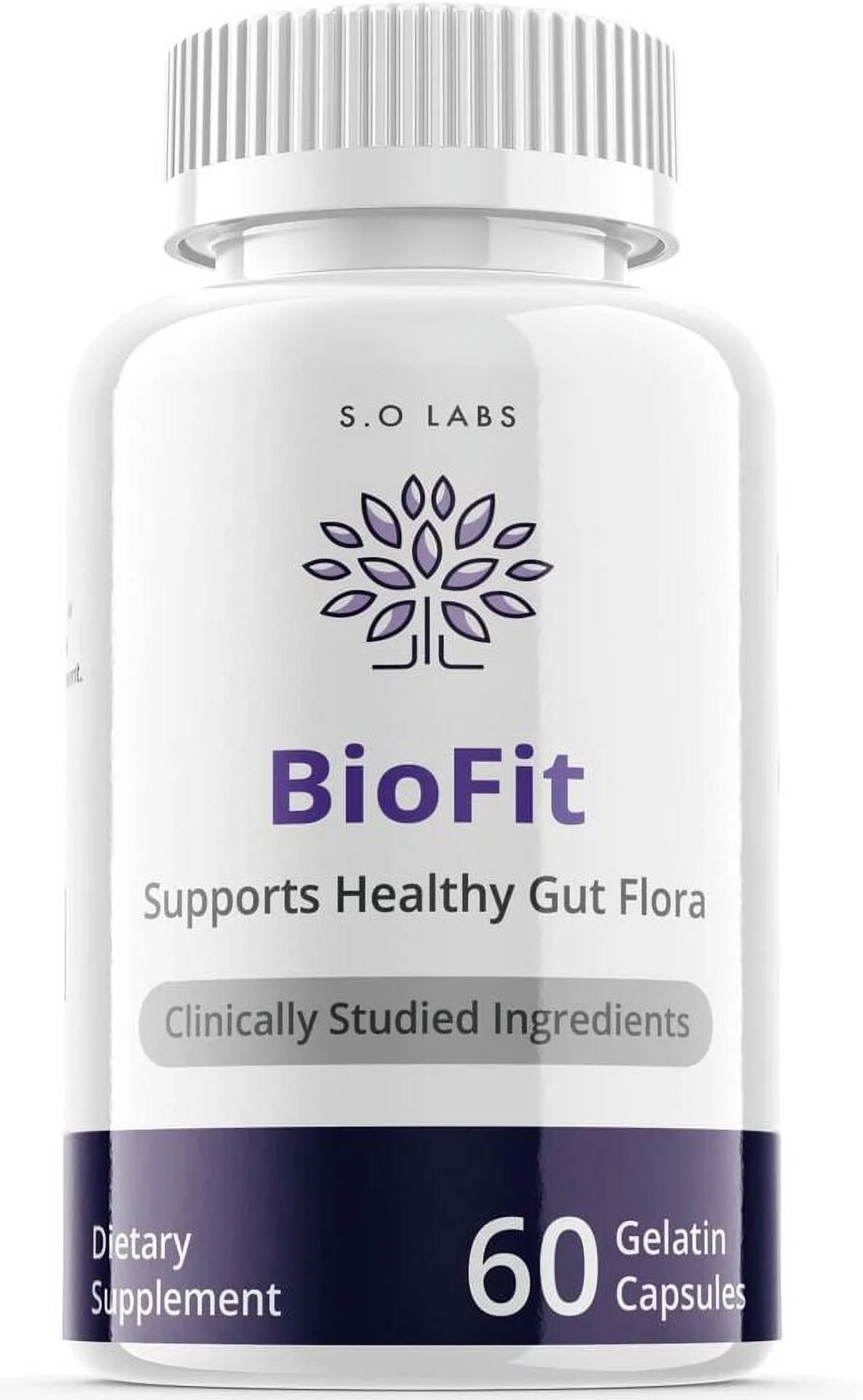 Biofit Diet Pills,Weight Loss,Fat Burn, Appetite Control, Gut Flora Supplement 60 Capsules