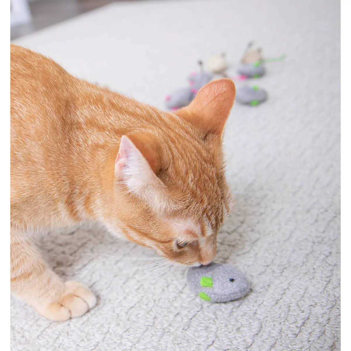 SmartyKat Skitter Critters Catnip Toys - Pet Supplies online store