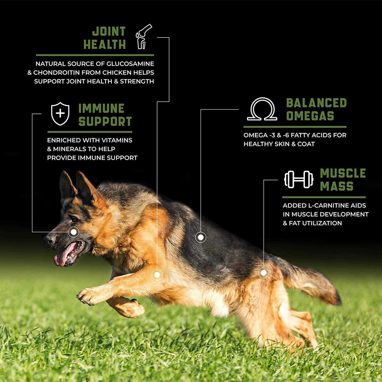 Sportmix CanineX Grain-Free Performance Chicken Dry Dog Food - Pet Supplies online store