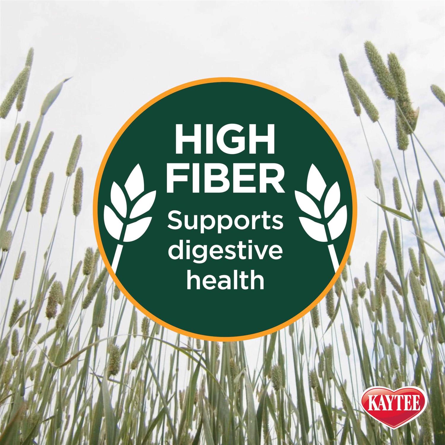 Kaytee Natural Timothy Hay - Pet Supplies online store