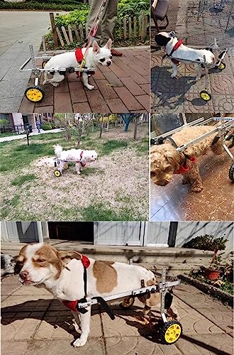 Pet Wheelchair for Dogs, Comfortable Doggie Wheelchairs Small Dog Cat Walk Cart, with Wheels, Back Brace for Handicapped Back Legs (Size : Size1)