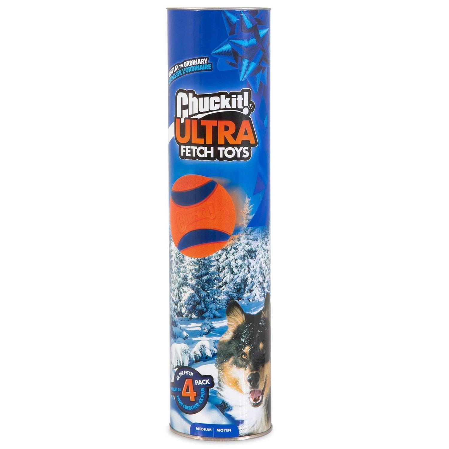 Chuckit! Canister Ultra Ball Dog Toy - Pet Supplies online store