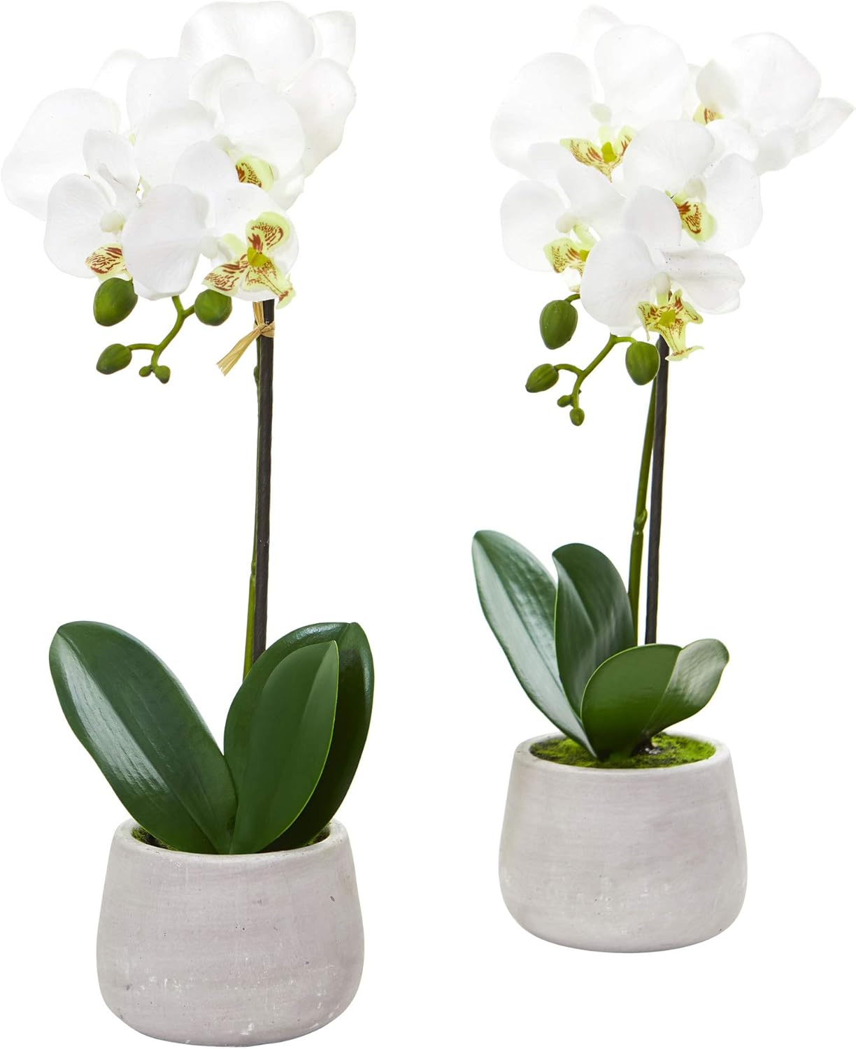 Nearly Natural Phalaenopsis Orchid Artificial Arrangement (Set of 2)