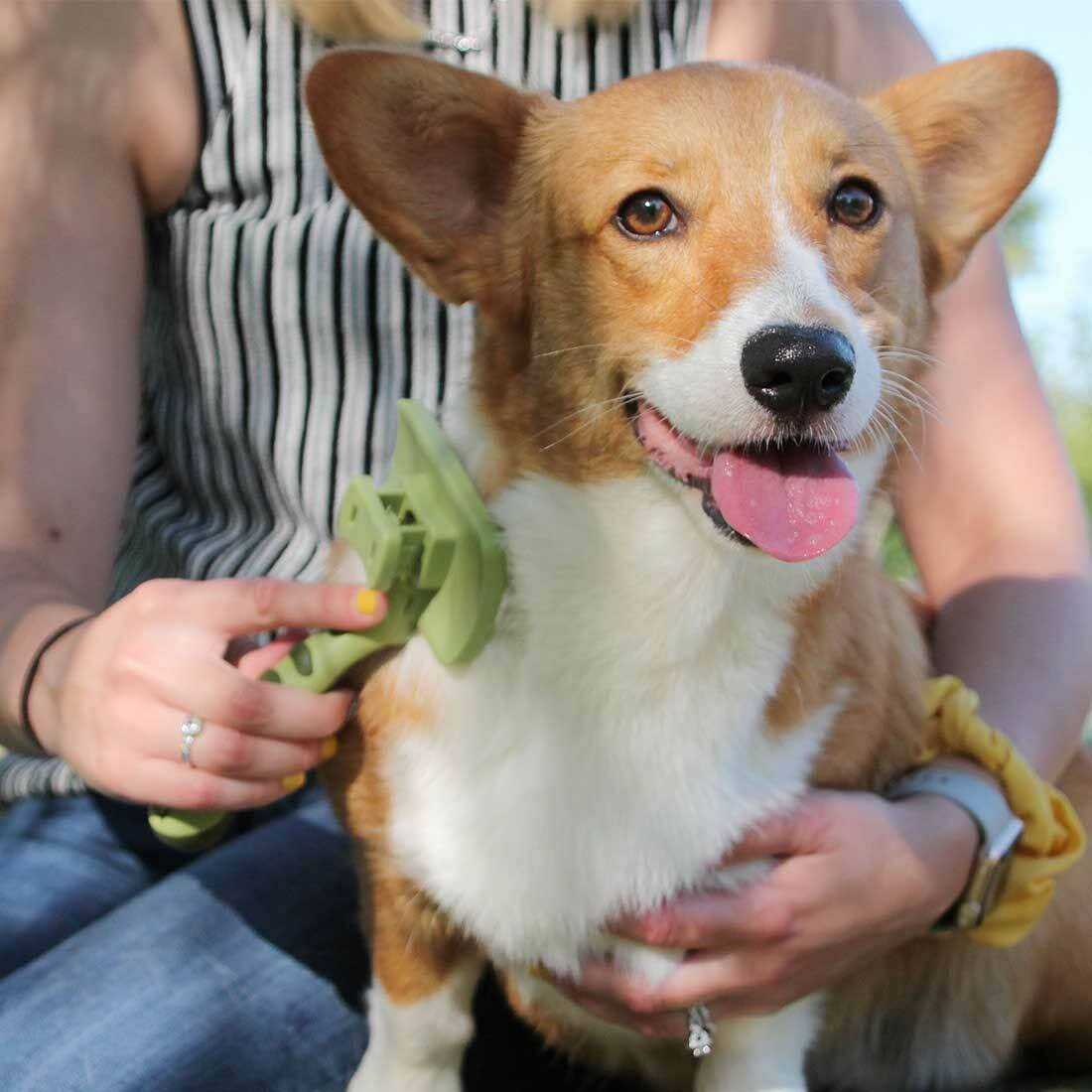 Safari Complete Cat Brush - Pet Supplies online store