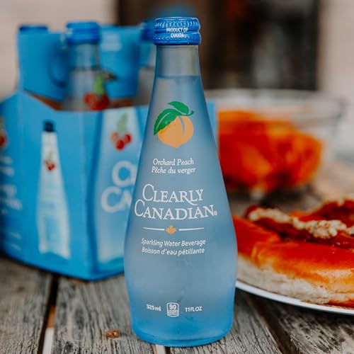 Clearly Canadian Mountain Blackberry Sparkling Water, 11 Fl Oz