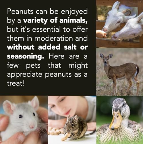 Wildlife Feed Raw Peanuts (12 LB Pail) - Our in-Shell Peanuts are The Ideal Critter Food to Attract Squirrels, Birds, Deer and Other Diverse Wildlife.