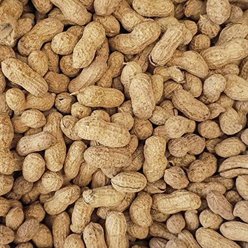 WINGFIELD-25 25 lb Virginia in Shell Animal Peanuts (25lb Bag) for Wildlife, Yellow