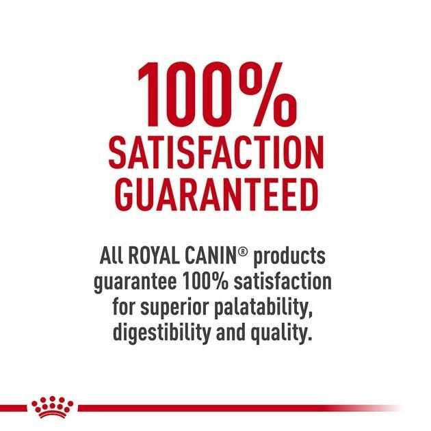 Royal Canin Veterinary Diet Early Cardiac Dry Dog Food - Pet Supplies online store