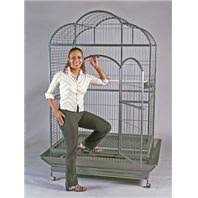 Spunky Pup Snack & Chew Antler - Pet Supplies online store