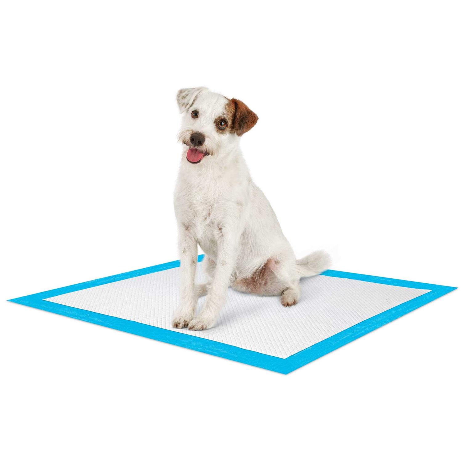 So Phresh Large Leak Guard Quilted Potty Pads - Pet Supplies online store