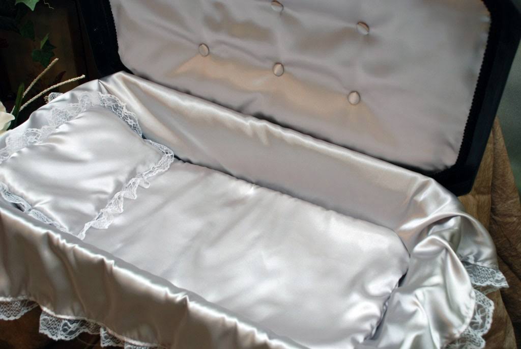 Black with Silver Deluxe Pet Coffin for Cat Dog or Other Pet - Small