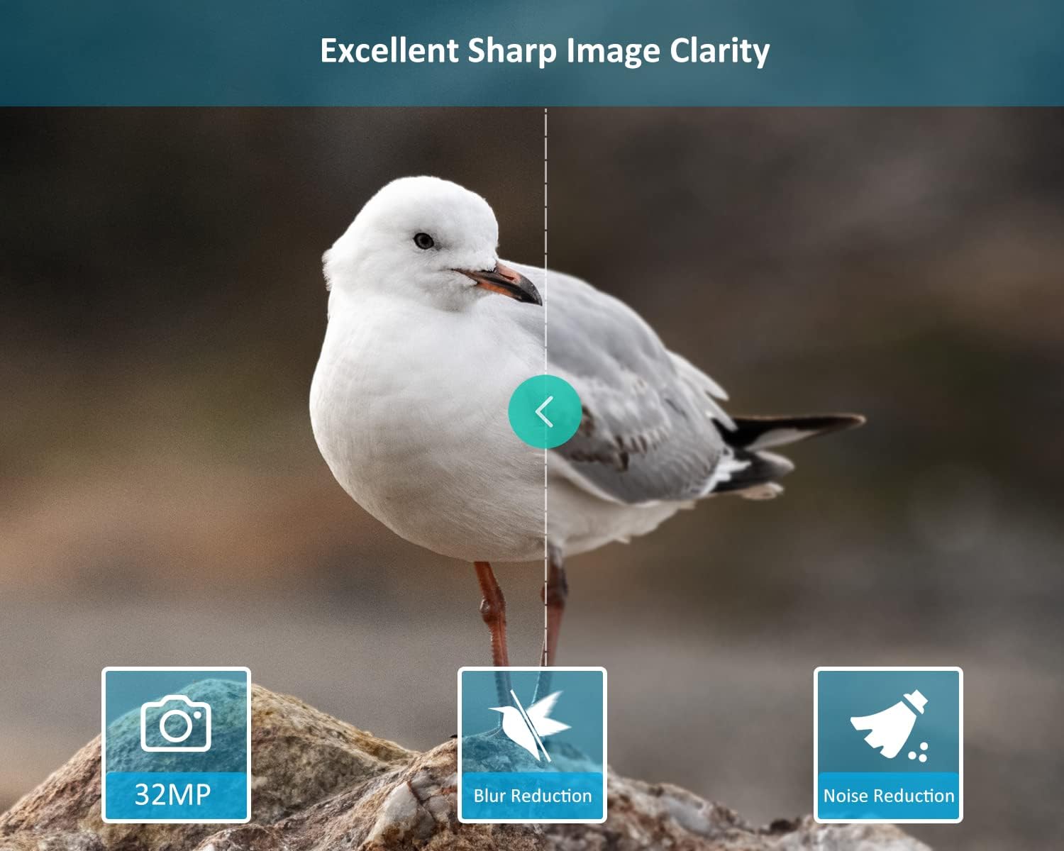 GardePro E5S Game Trail Camera 32MP 1296P with 100ft Night Vision Motion Activated Waterproof