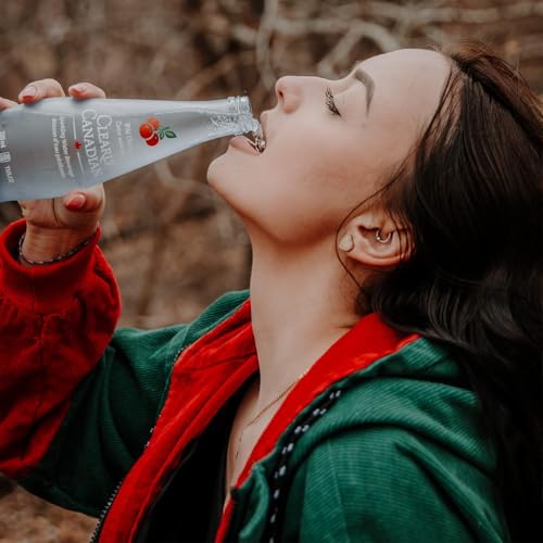 Clearly Canadian Mountain Blackberry Sparkling Water, 11 Fl Oz