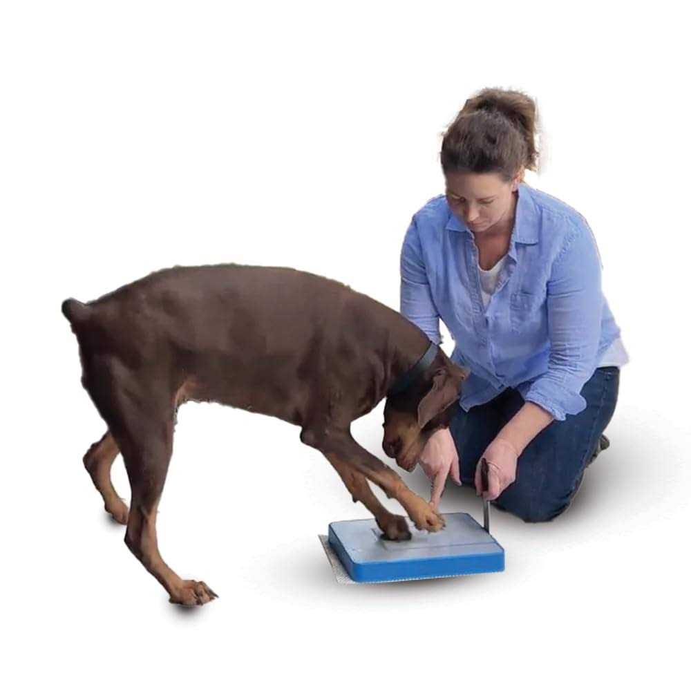 Digger Dog Nail File Board Stress Free Alternative to Dog Nail Clippers and Dog Nail Grinders - Pet Supplies online store