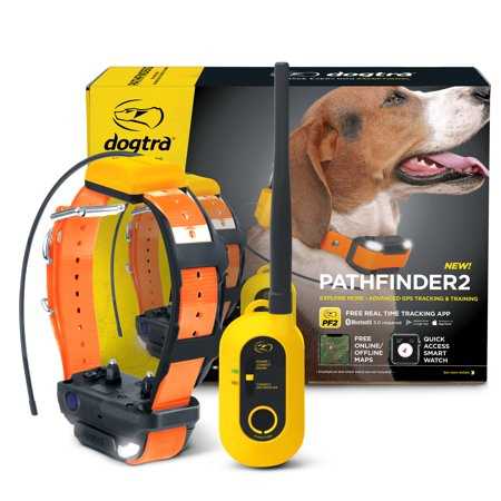 Dogtra Pathfinder2 GPS & Dog Training Collar System, Black - Pet Supplies online store