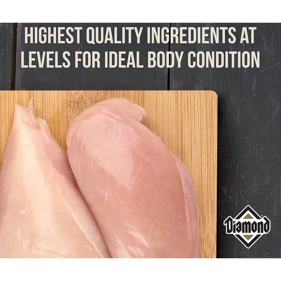 Diamond Maintenance Dry Cat Food - Pet Supplies online store