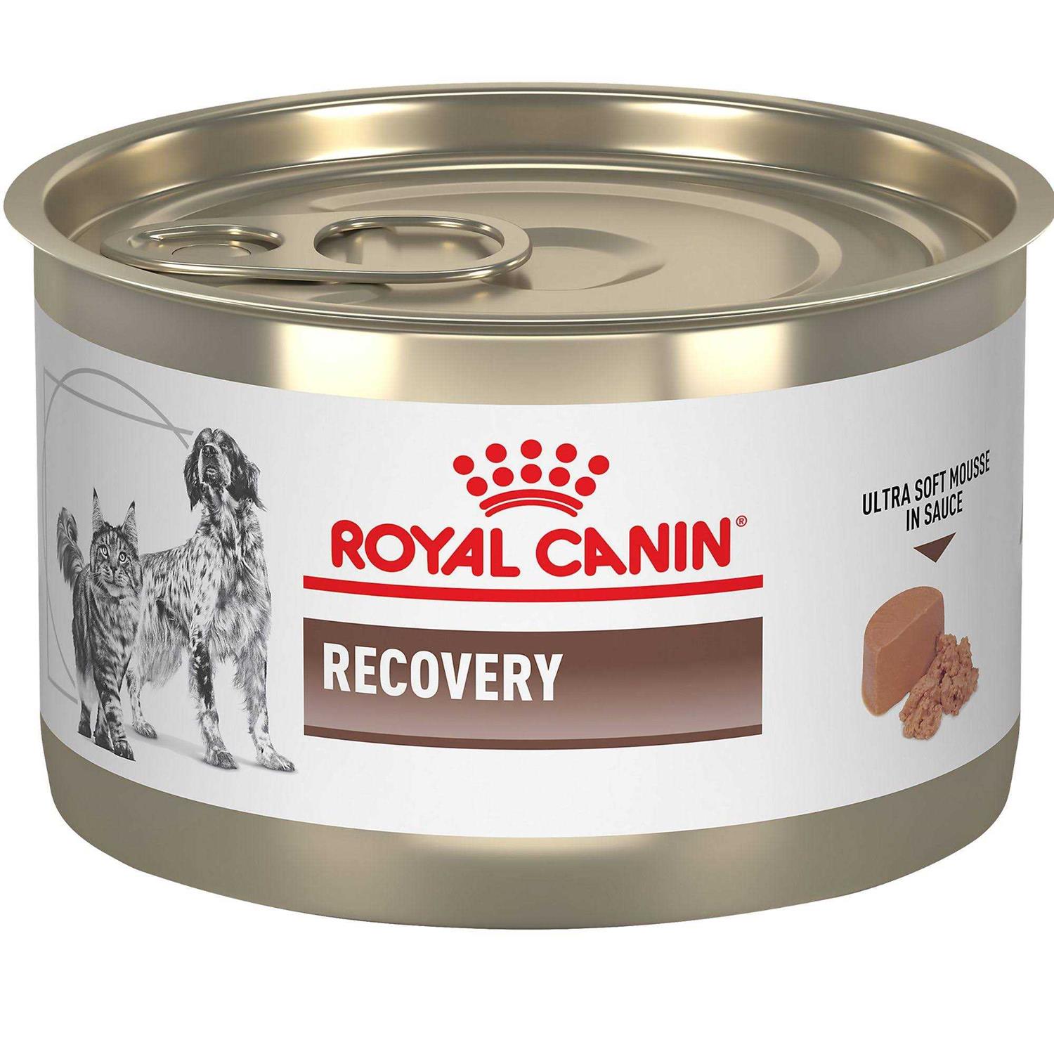 Royal Canin Veterinary Diet Feline and Canine Recovery Ultra Soft Mousse in Sauce Cat and Dog Food - Pet Supplies online store